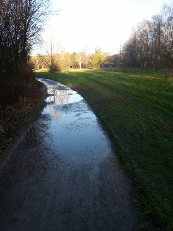 Weg am Steinertsee