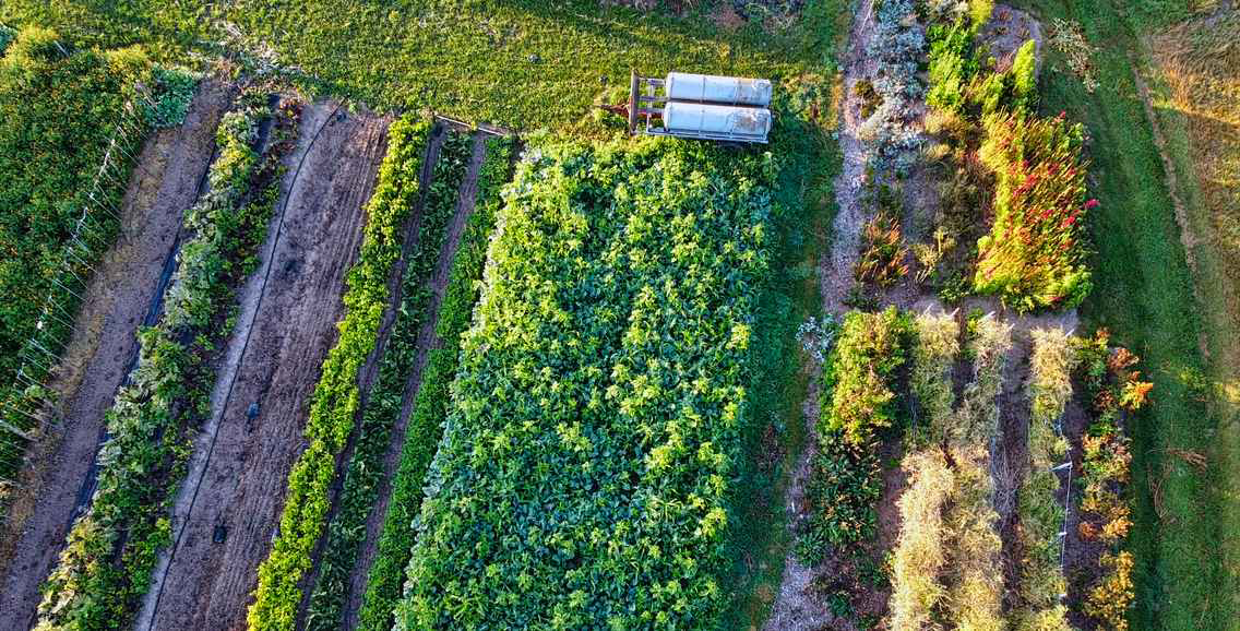 Für eine florierende regionale Landwirtschaft: