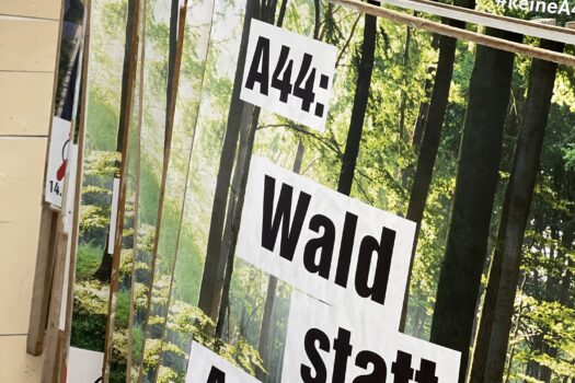 Damit Kaufungen demokratisch und solidarisch bleibt – jetzt mitmachen!